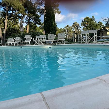 Ferienwohnung Tuscany Relax H&H - Helly House San Vivaldo Exterior foto