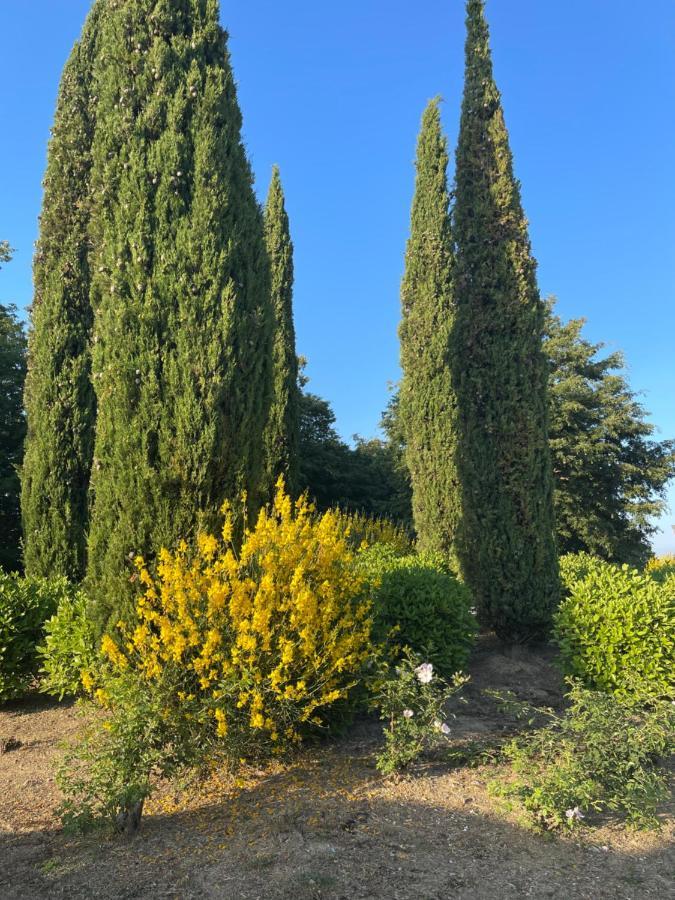 Ferienwohnung Tuscany Relax H&H - Helly House San Vivaldo Exterior foto